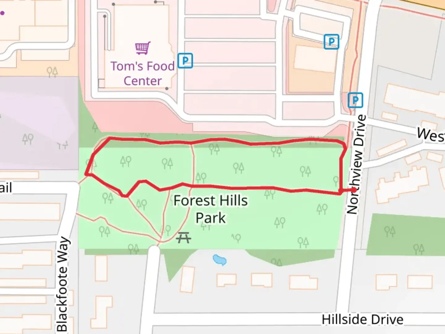 An image depicting the trail Forest Hills Park Loop and its surrounding area.