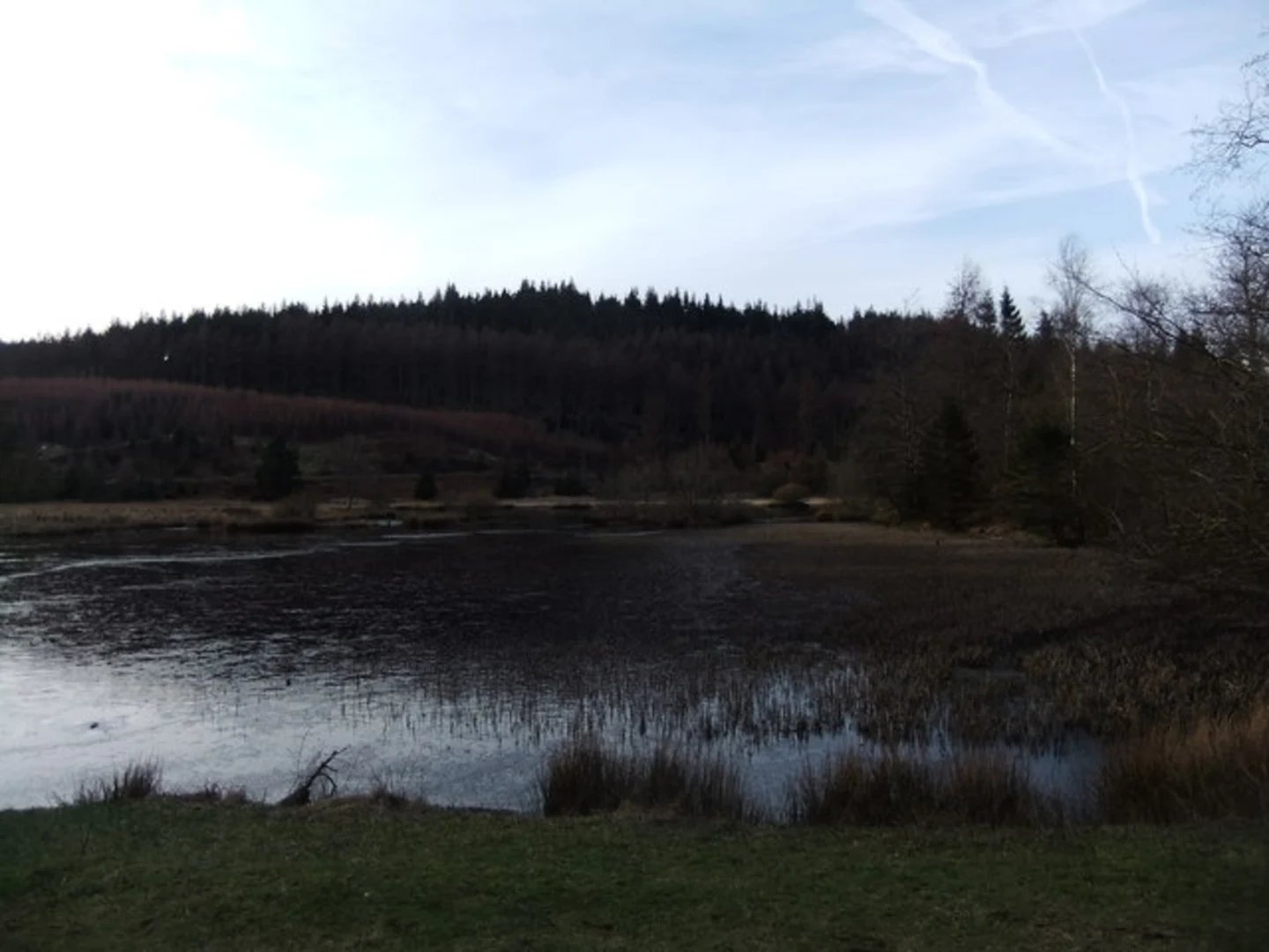 An image depicting the trail Wood Moss Tarn and Satterthwaite Loop and its surrounding area.