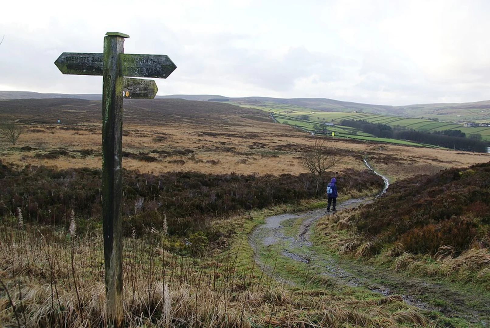 An image depicting the trail Penistone Hill and Tom Stell's Seat Loop and its surrounding area.