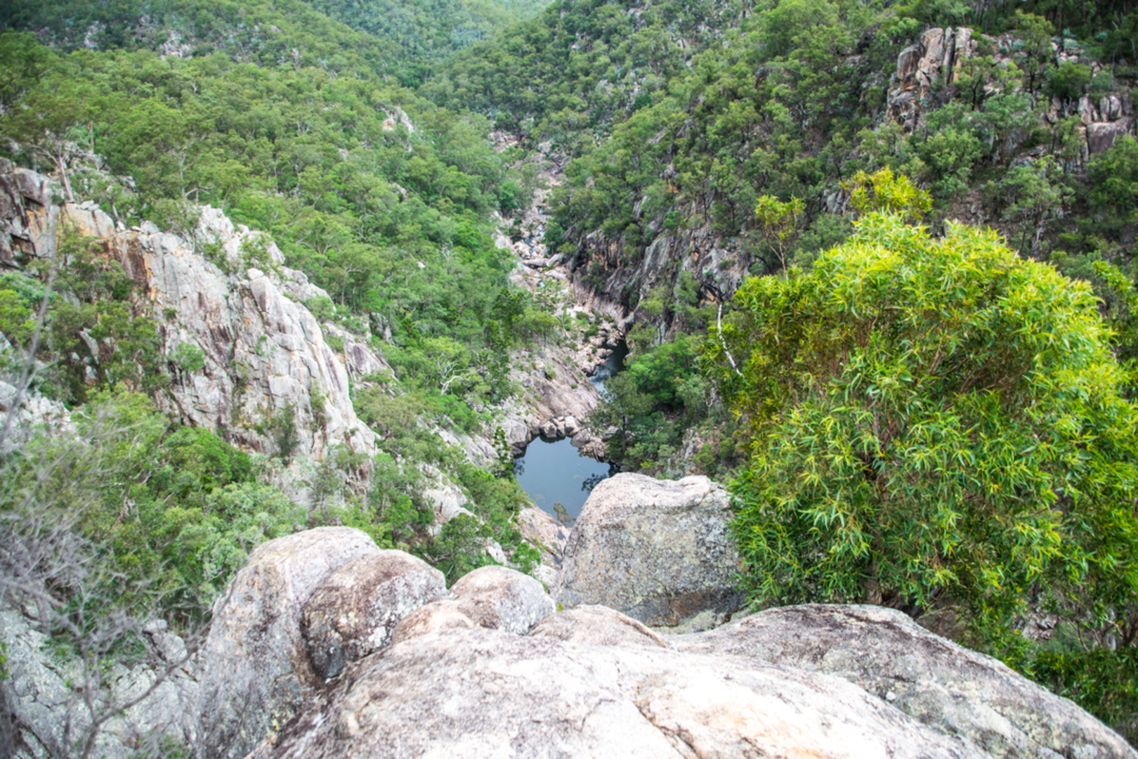 An image depicting the trail Crows Nest Falls via Kauyoo Loop and its surrounding area.