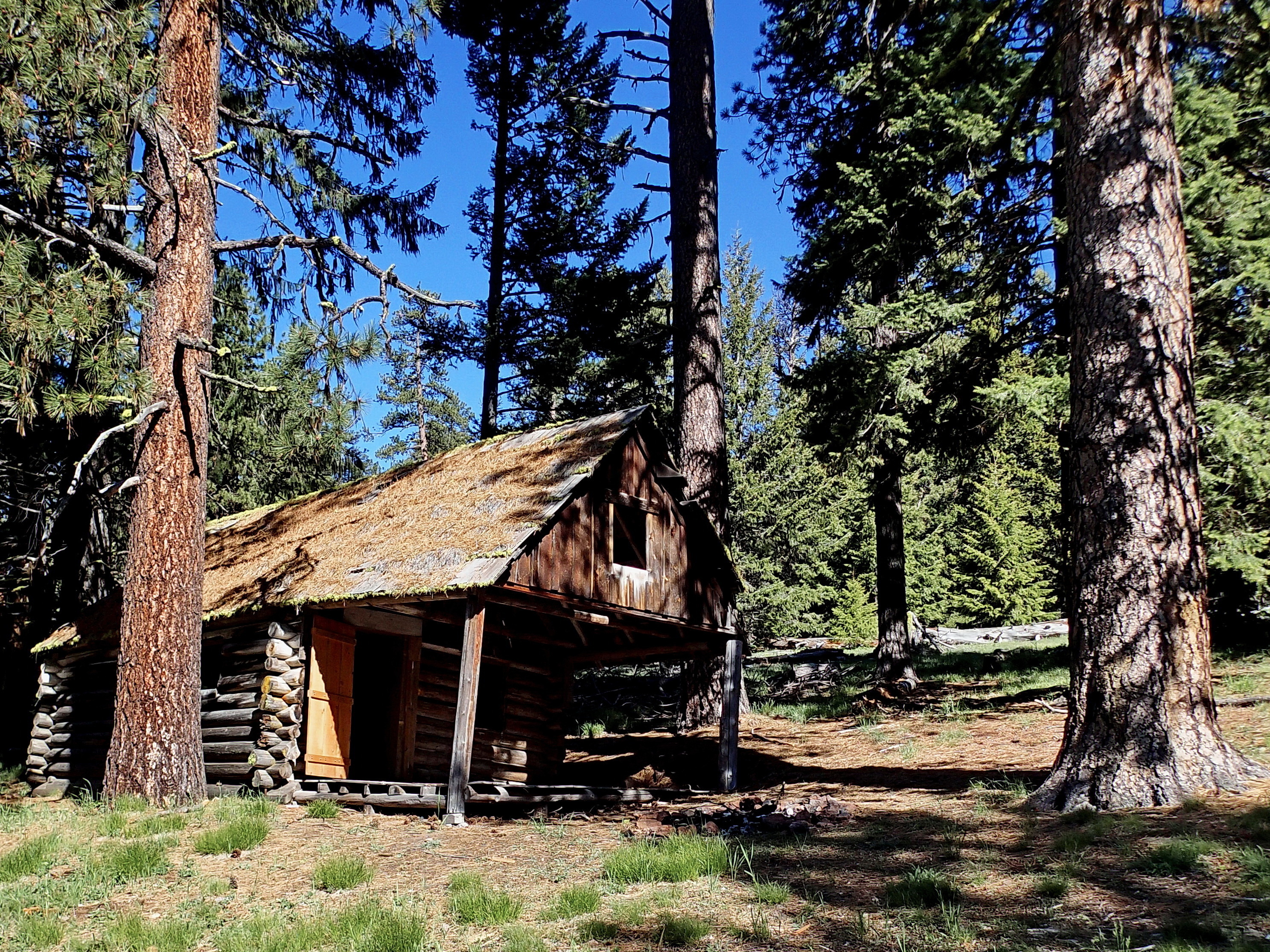 An image depicting the trail Ochoco National Forest and its surrounding area.