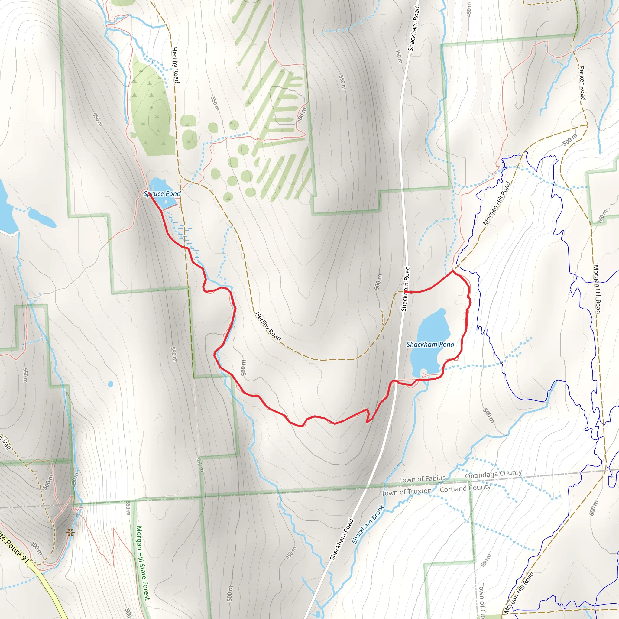 Shackham Pond to Spruce Pond via Onondaga Trail mobile static map