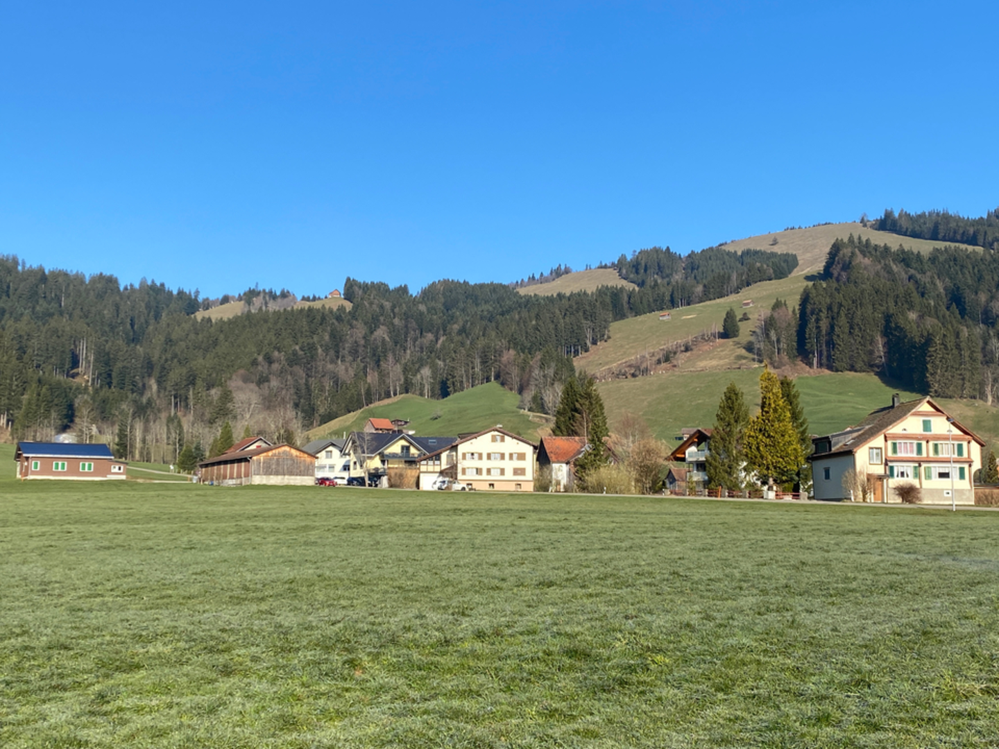 An image depicting the trail Trachslau and its surrounding area.