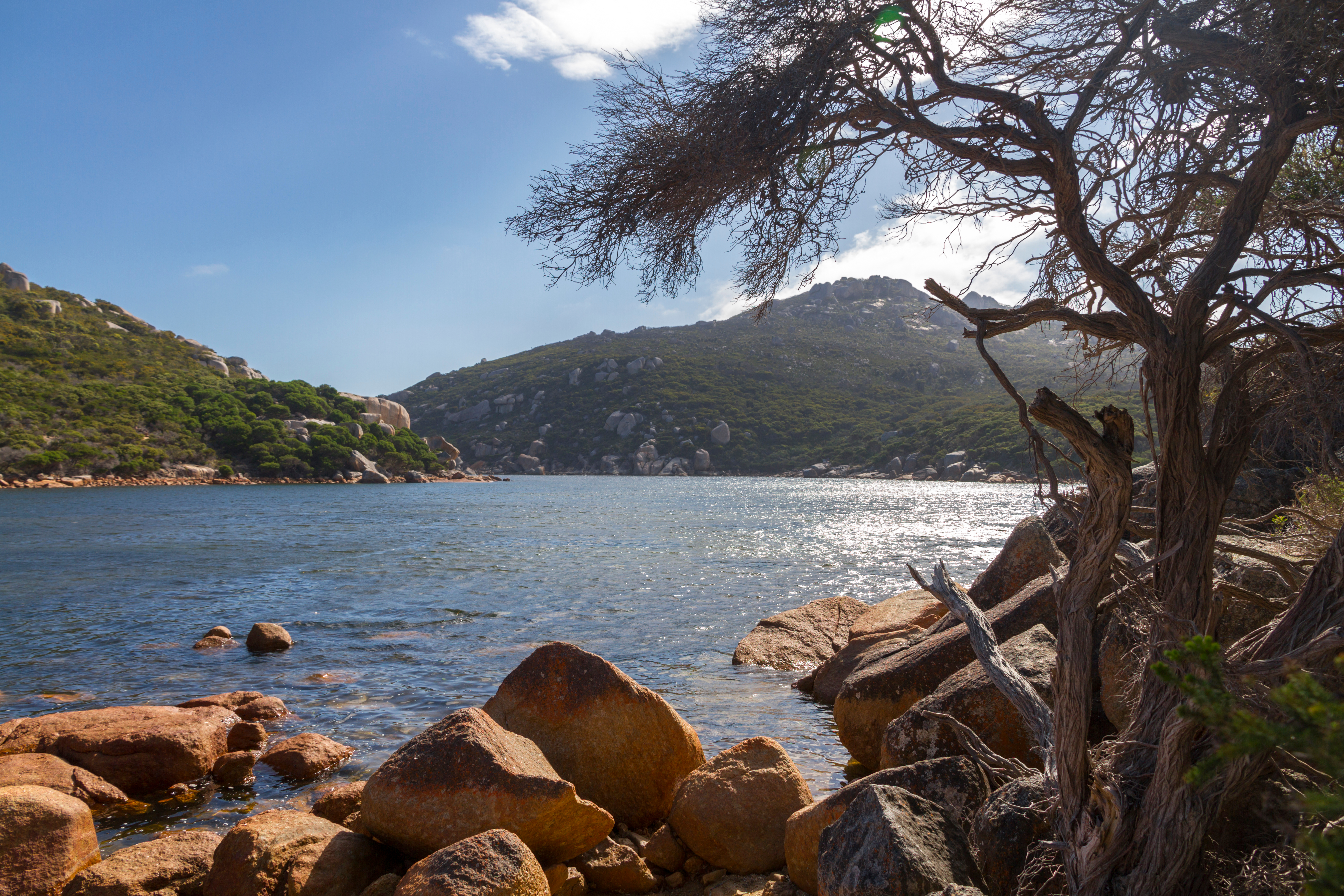 An image depicting the trail Waychinicup National Park and its surrounding area.