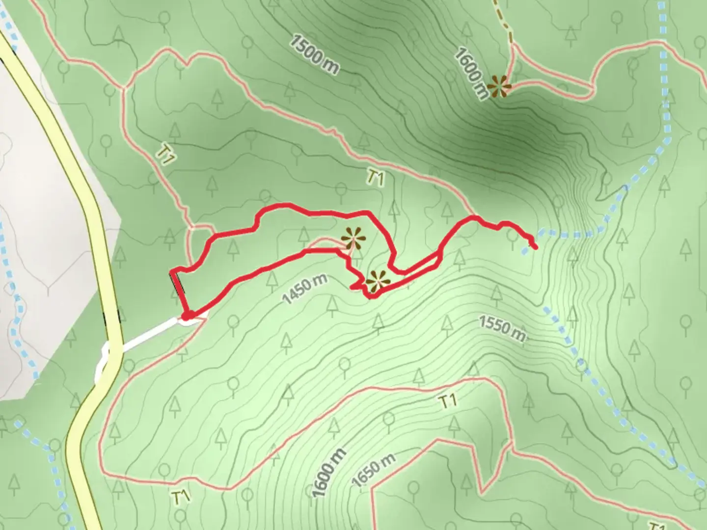 An image depicting the trail Source of the Cuervo River SL CU 14 and its surrounding area.