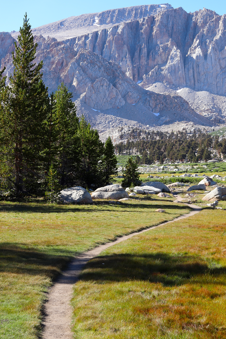 An image depicting the trail Little Cottonwood Creek Trail and its surrounding area.