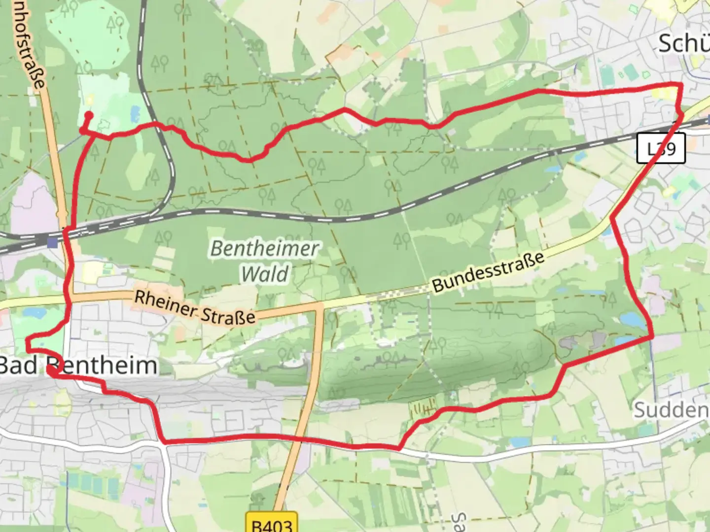 An image depicting the trail Bentheimer Wald Loop via Schlosspark and its surrounding area.
