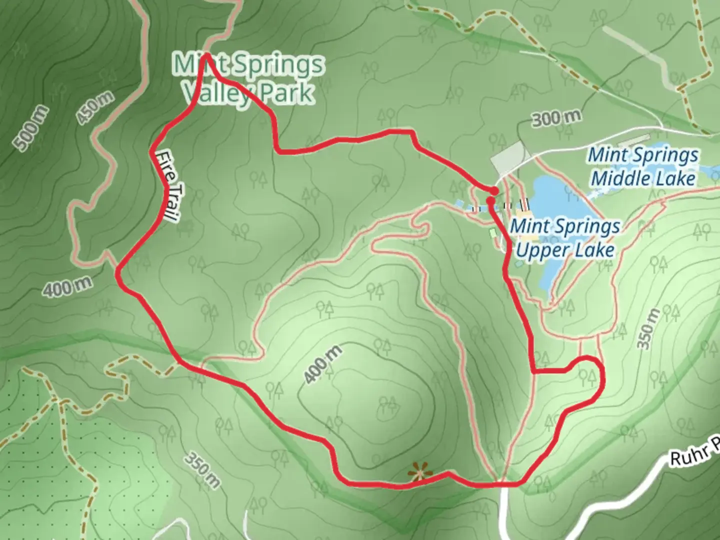An image depicting the trail Little Yellow Mountain via Fire Trail and its surrounding area.