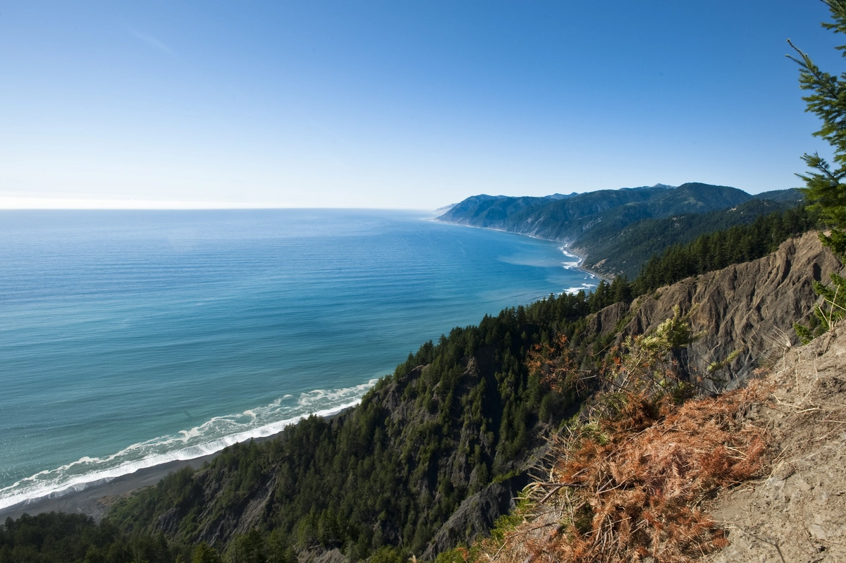 Lost Coast Trail Out and Back
