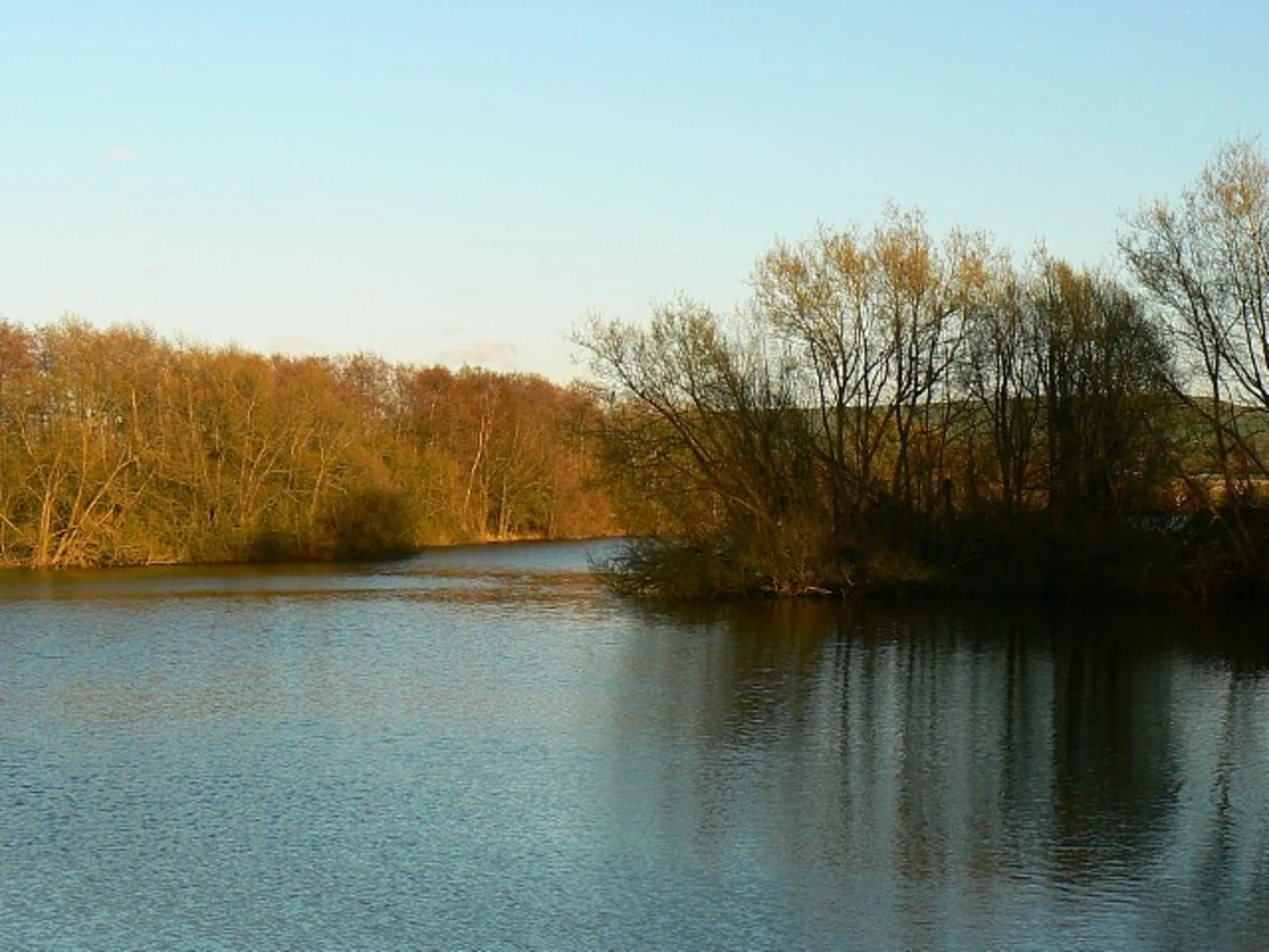 An image depicting the trail Chiseldon Timberland Trail and its surrounding area.