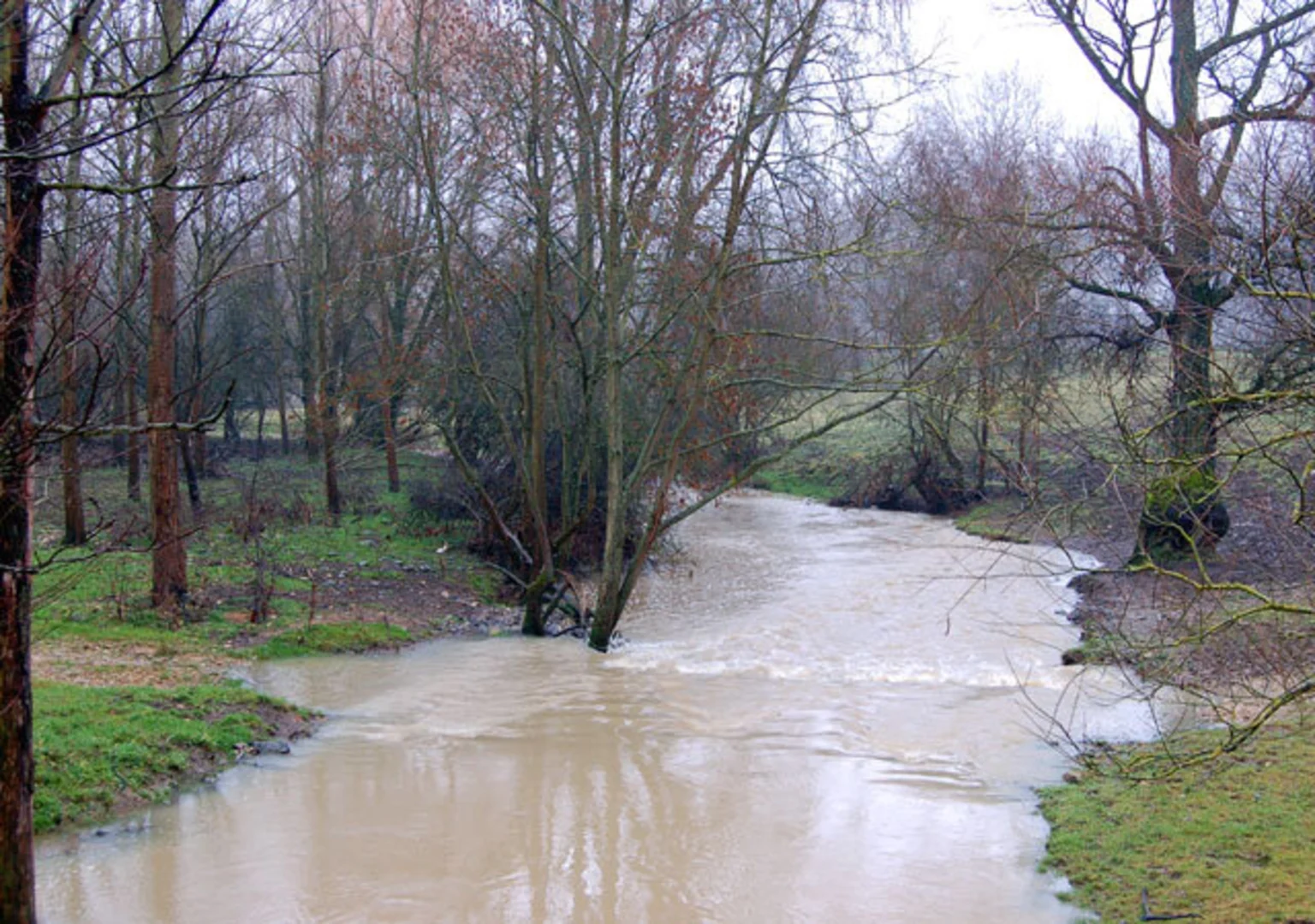 An image depicting the trail Southam Loop and its surrounding area.
