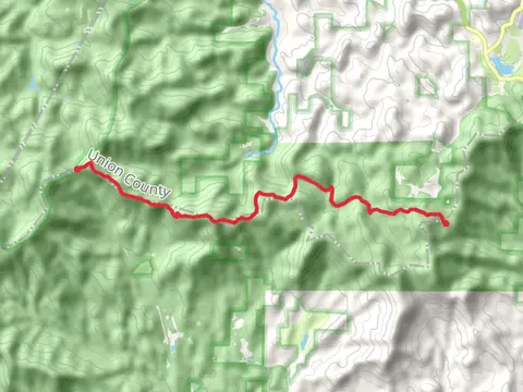 Appalachian Trail from Blue Ridge Road