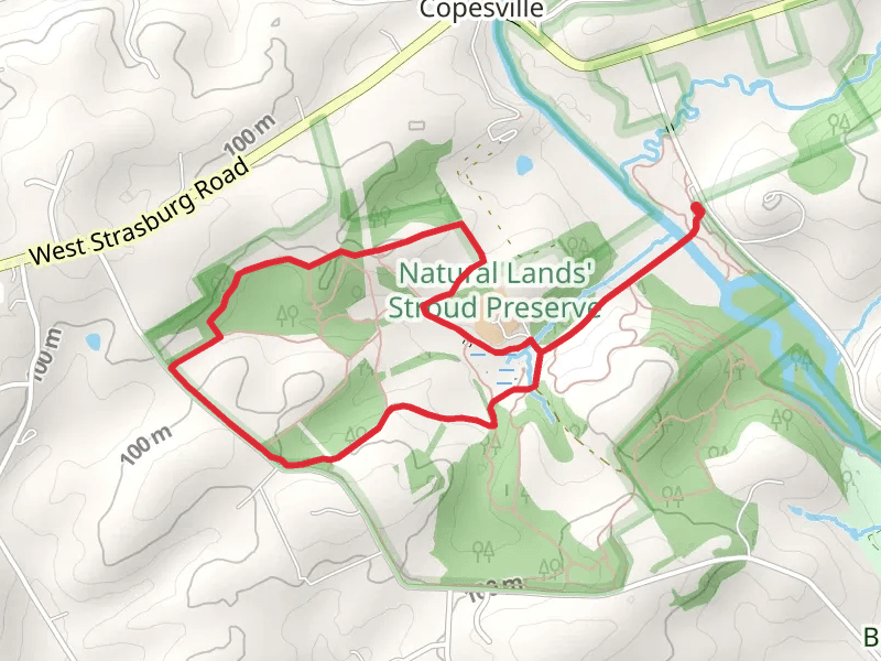 Red and Yellow Loop Trail from Copesville