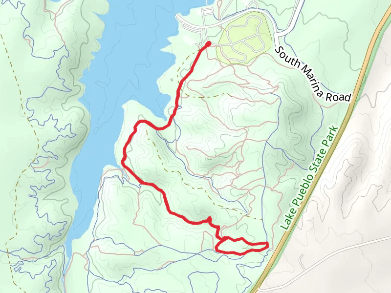 South Shore, Broken Hip and Dead Dog