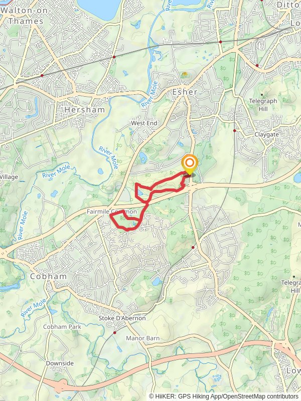 Esher Common mobile static map