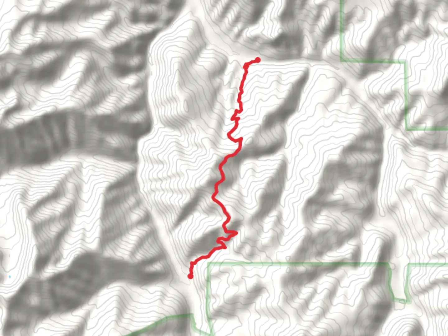 An image depicting the trail Wicked Ridge Trail and its surrounding area.