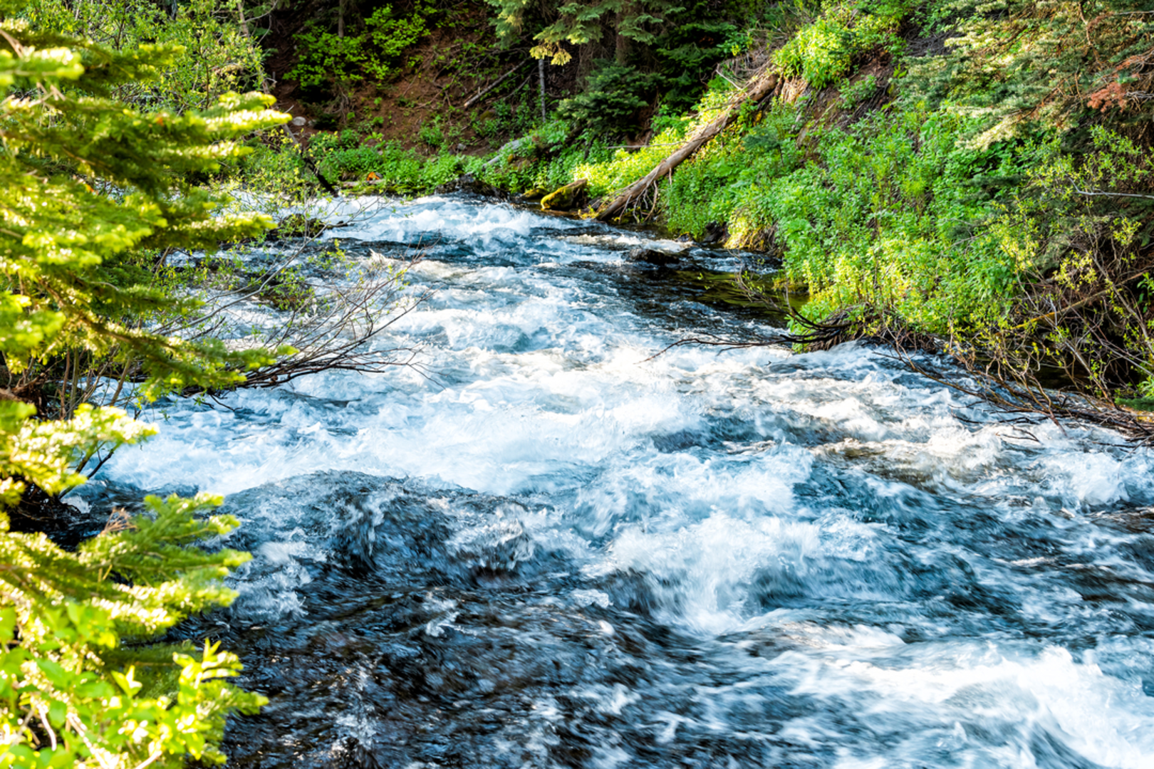 An image depicting the trail West Maroon Portal Link Trail and its surrounding area.