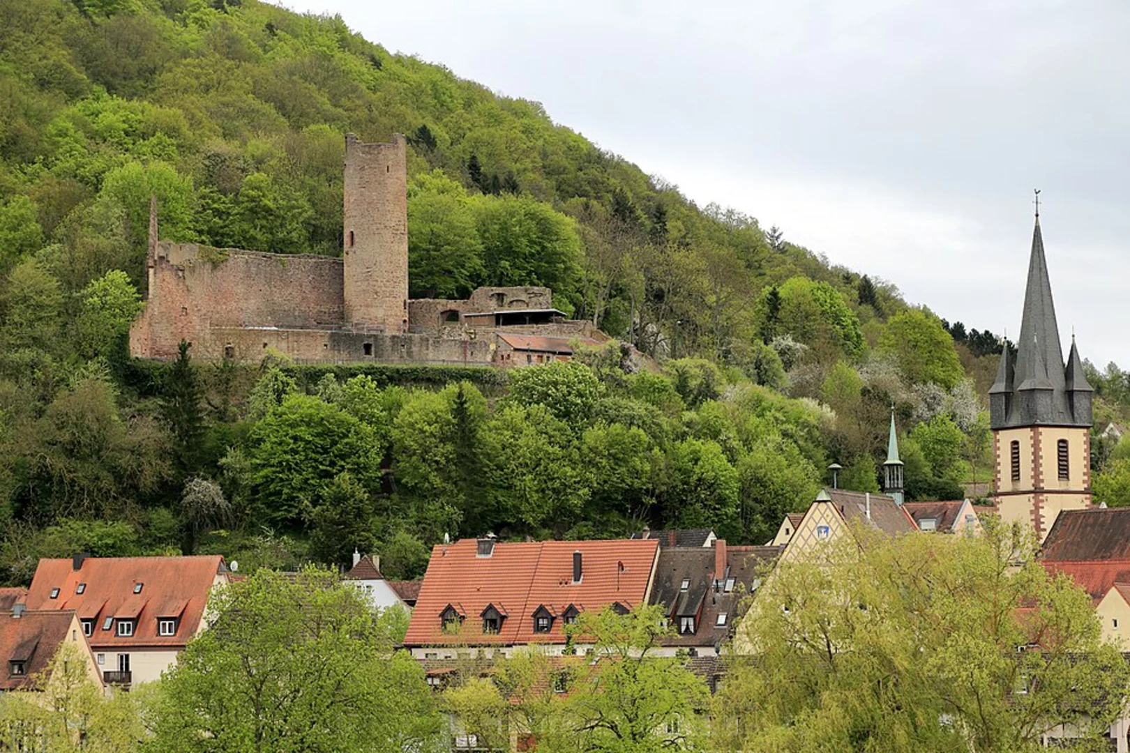 An image depicting the trail Gemündener Höhe Loop and its surrounding area.