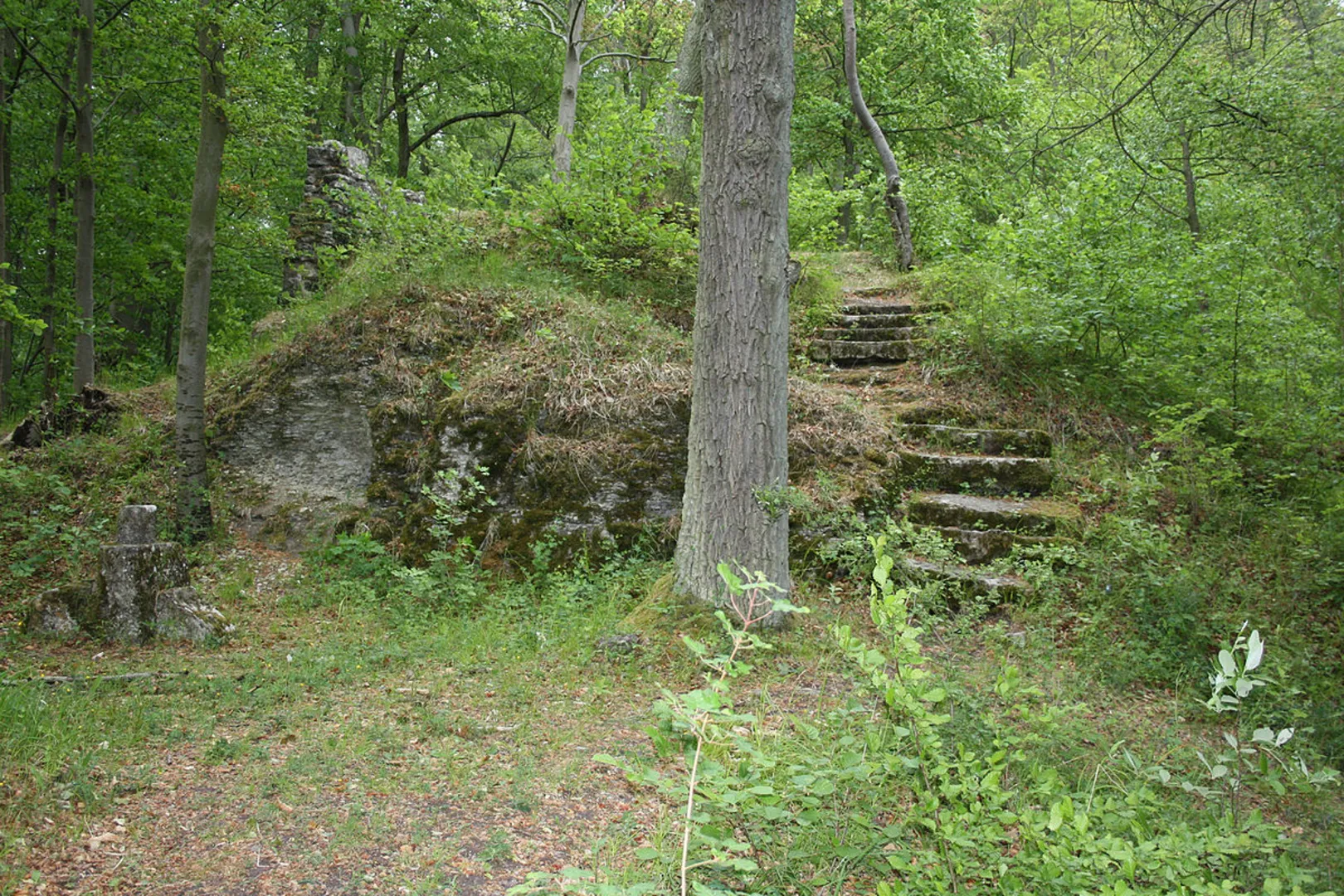 An image depicting the trail Waterbor, Steinbrink and Habichtsburg Loop and its surrounding area.