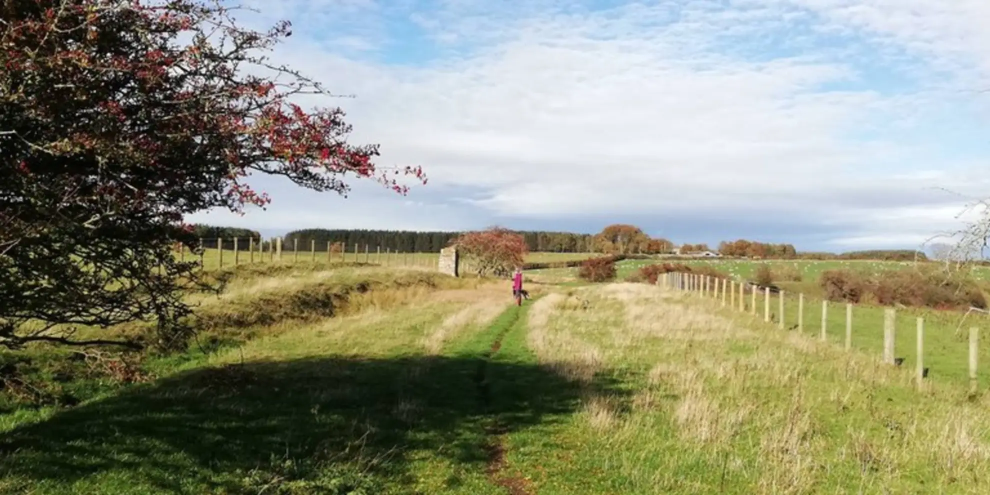 An image depicting the trail Wannie Line Walk and its surrounding area.
