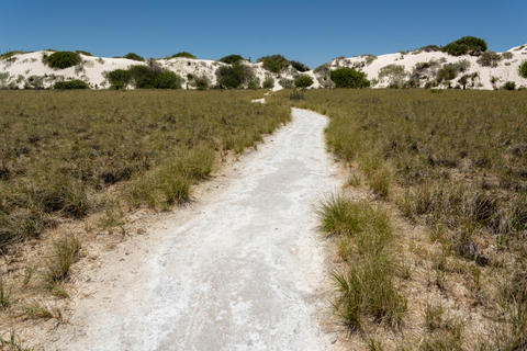 An image depicting the trail Dune Life Nature Trail and its surrounding area.