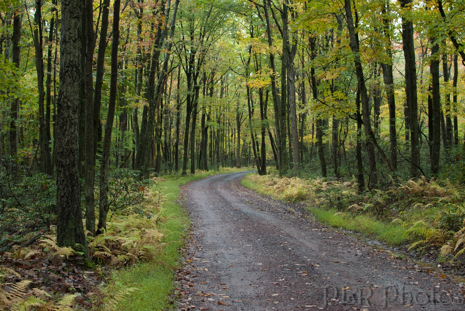 An image depicting the trail Hickory Run Trail and its surrounding area.