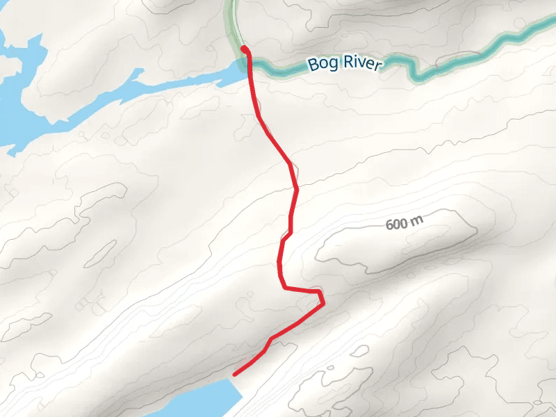 Trout Pond Trail via Bog River