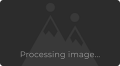 Helen Connolly avatar