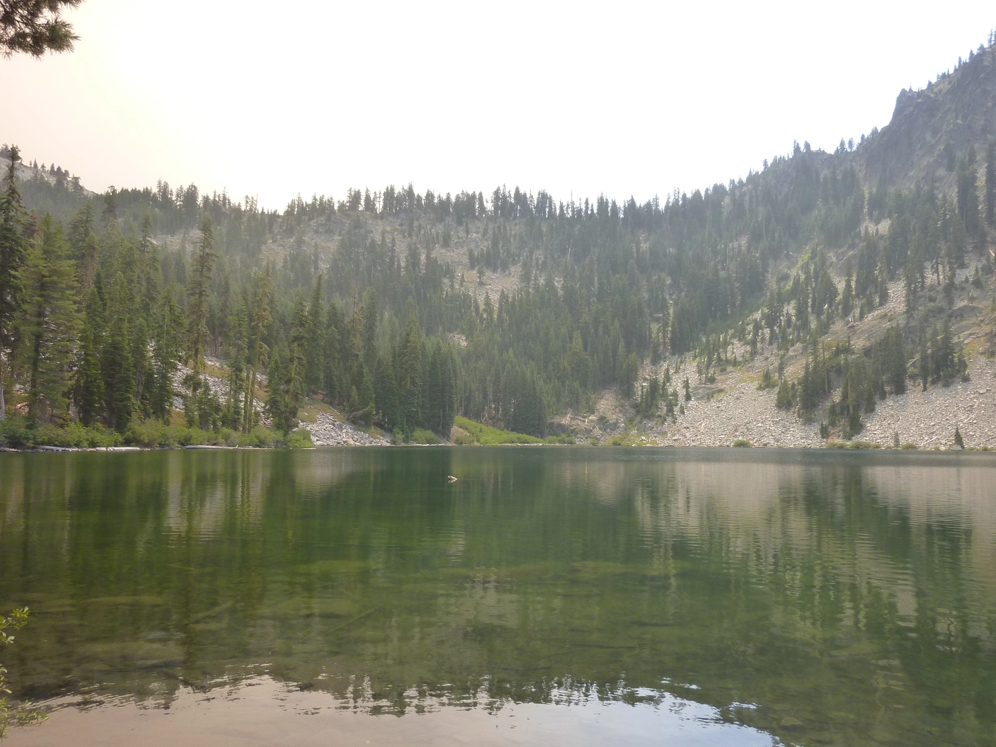 An image depicting the trail Long Gulch Lake Trail and its surrounding area.