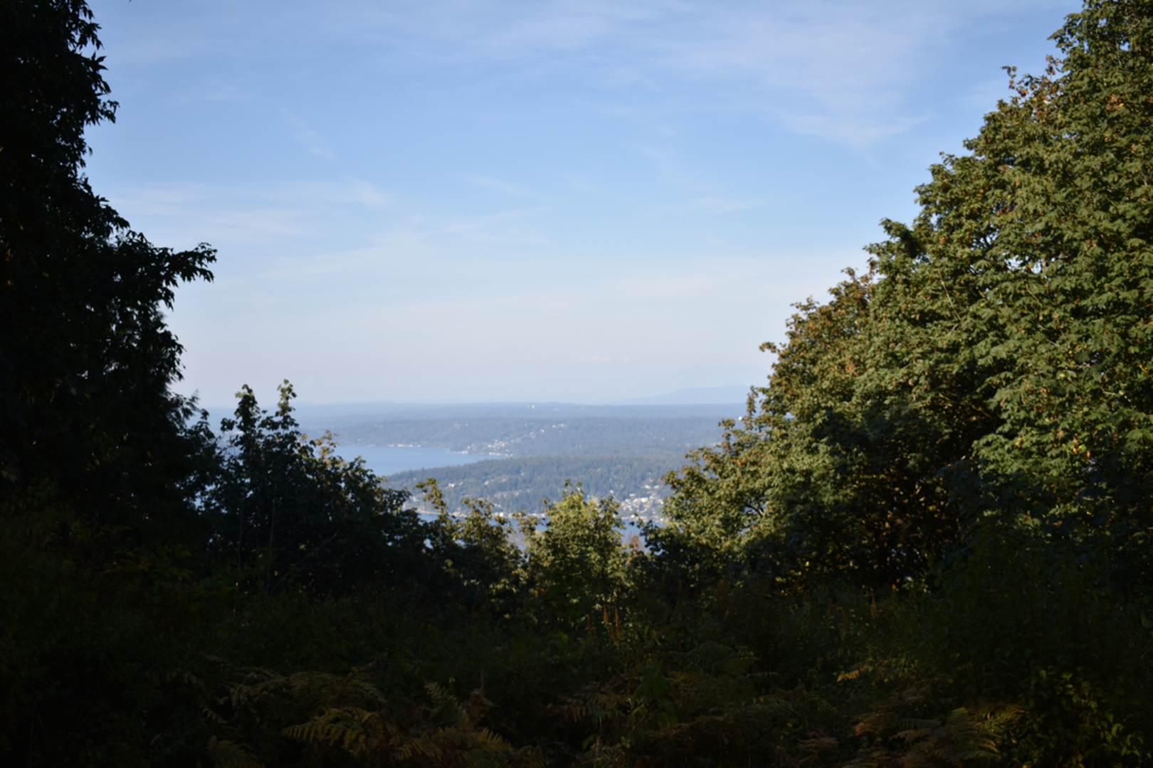 An image depicting the trail Cougar Mountain Viewpoint via Cougar Ridge Trail and its surrounding area.