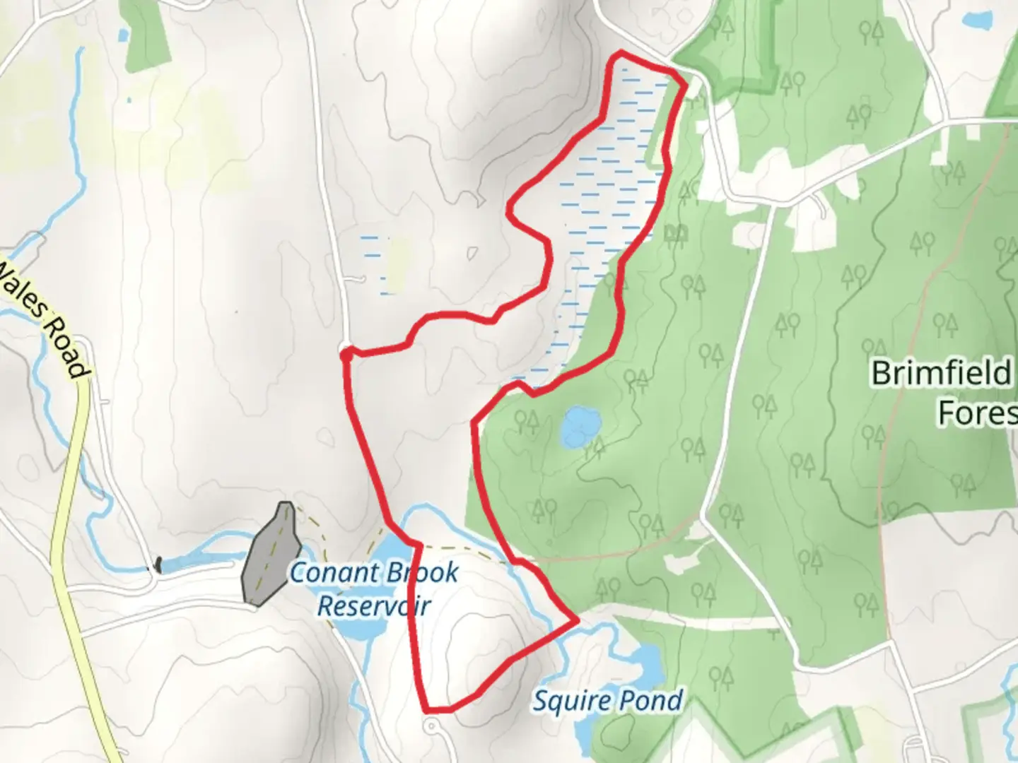 An image depicting the trail Conant Brook Reservoir Loop and its surrounding area.