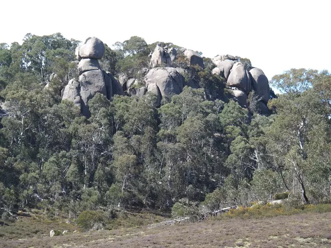 Mollison Galleries Rocky Creek Circuit Trail