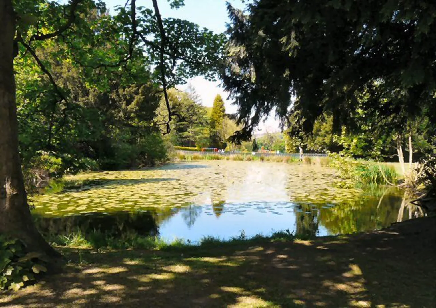 An image depicting the trail Marple Bridge and its surrounding area.