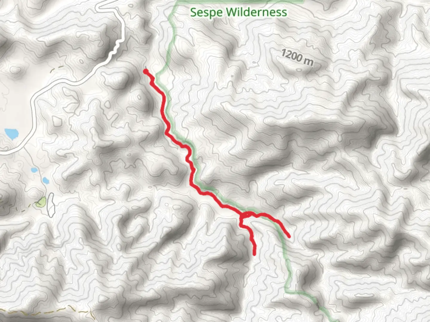 An image depicting the trail East and West Fork Lion Canyon Trail and its surrounding area.