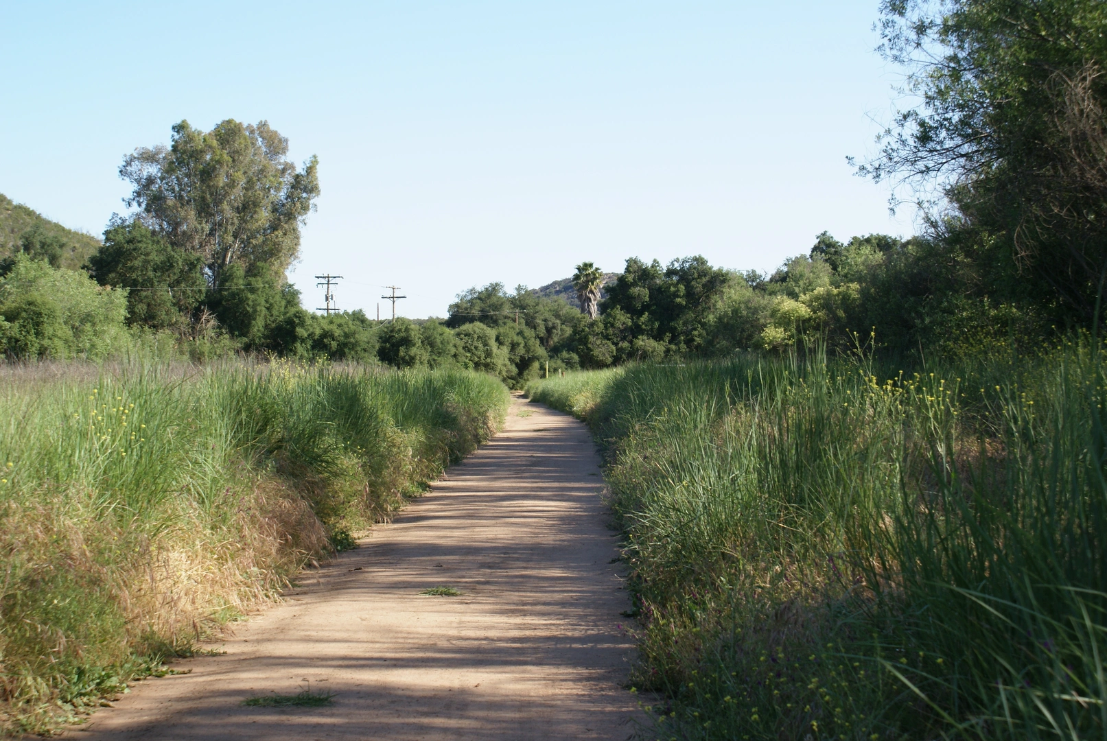 An image depicting the trail Cabrio and Coyote Run Loop Trail and its surrounding area.