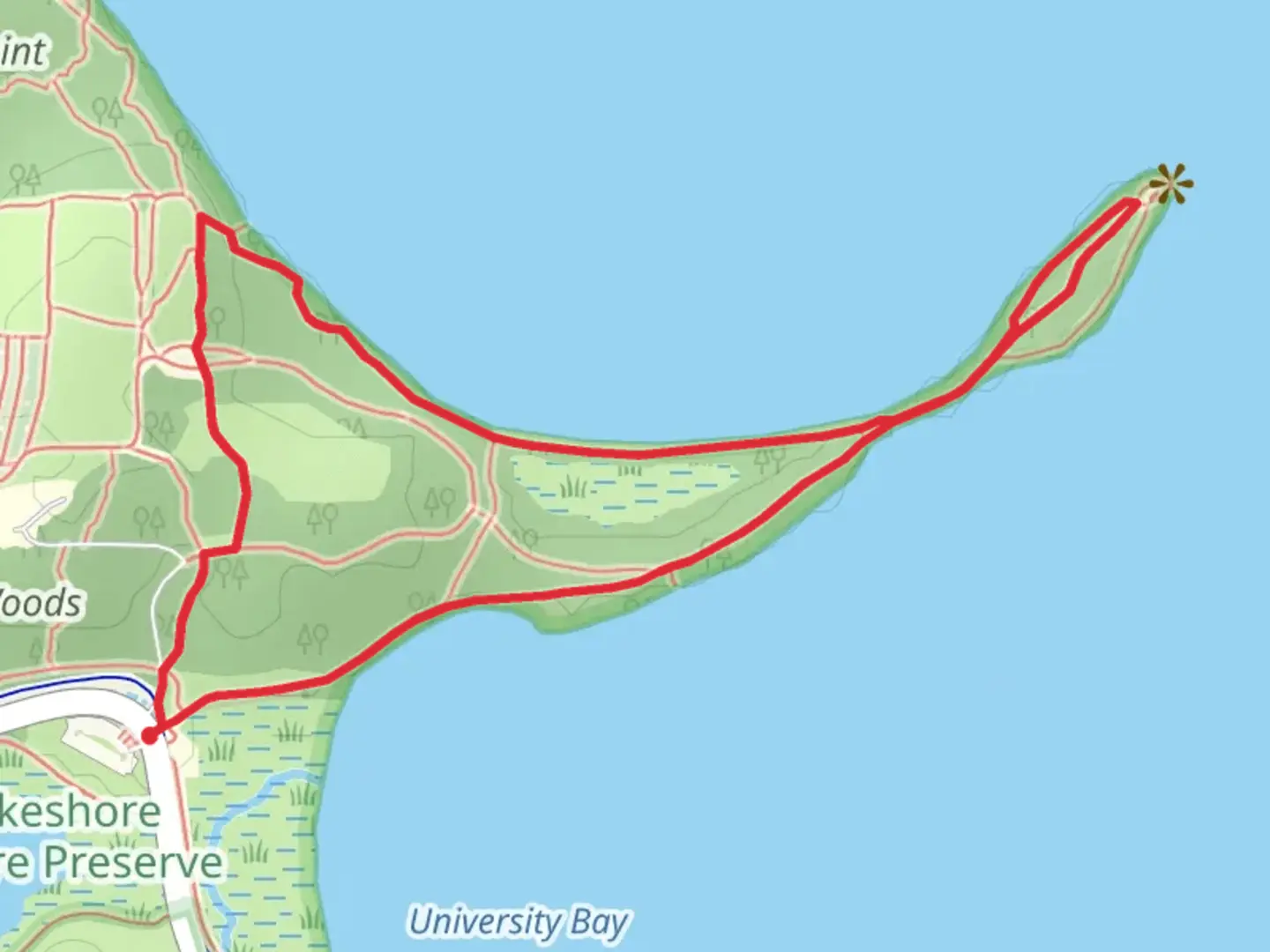 An image depicting the trail Caretaker's Woods Loop and its surrounding area.