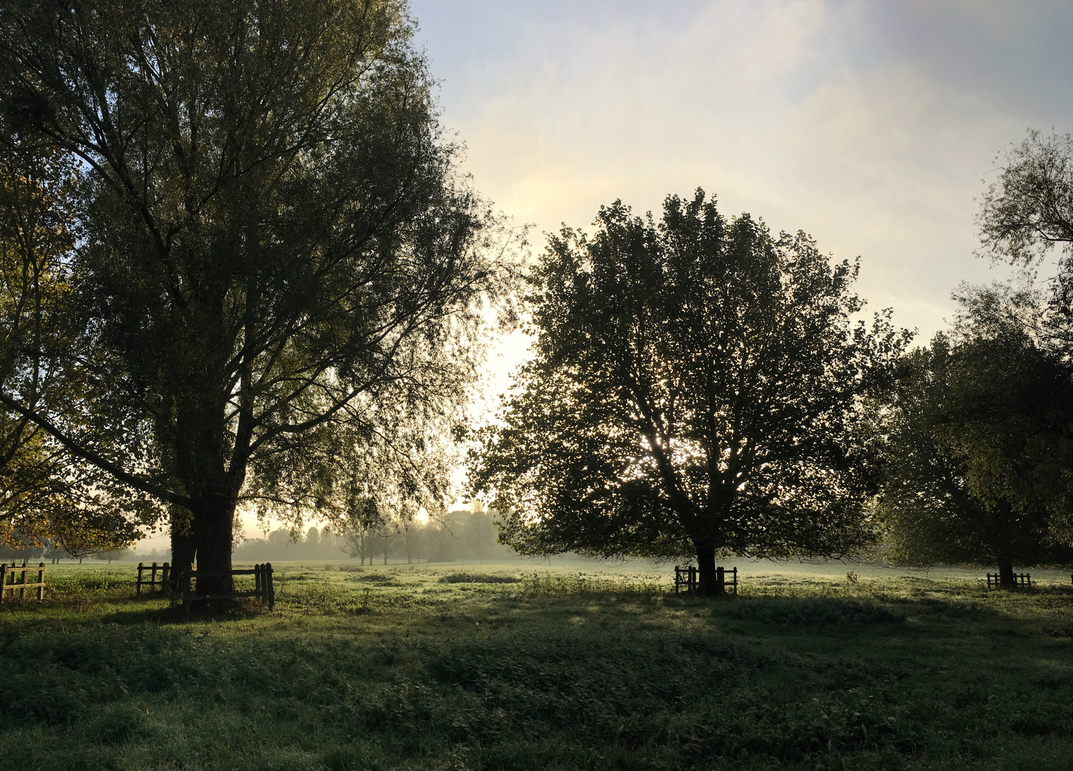 An image depicting the trail Fen Rivers Way and its surrounding area.
