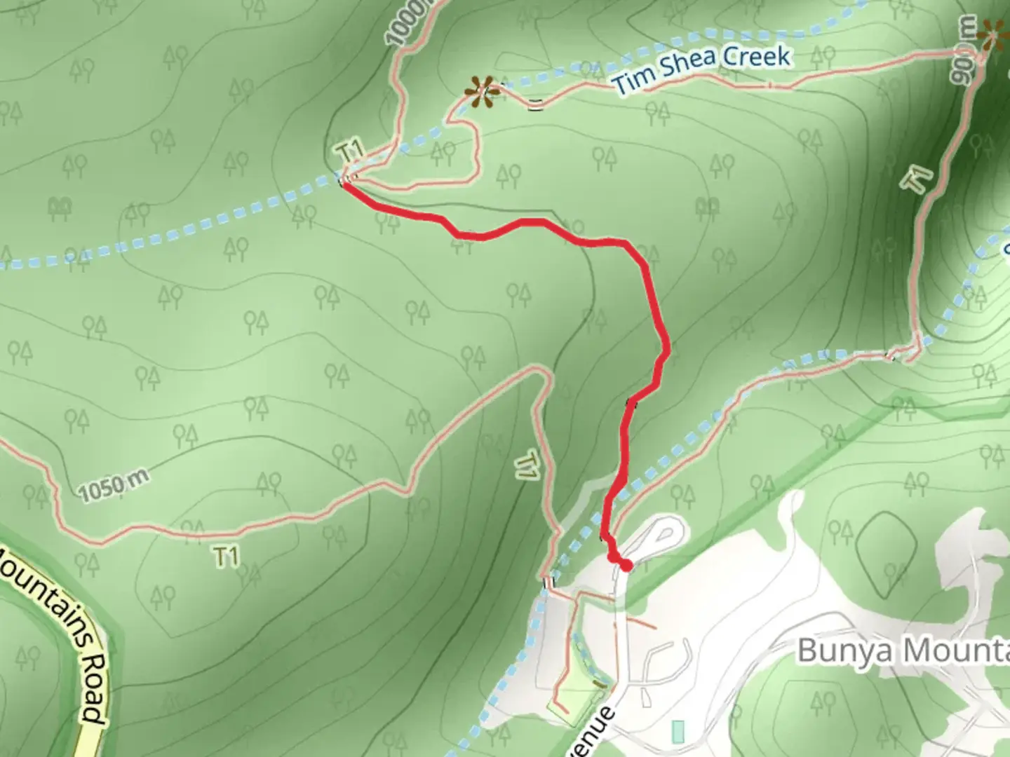 An image depicting the trail Tim Shea Falls Track and its surrounding area.