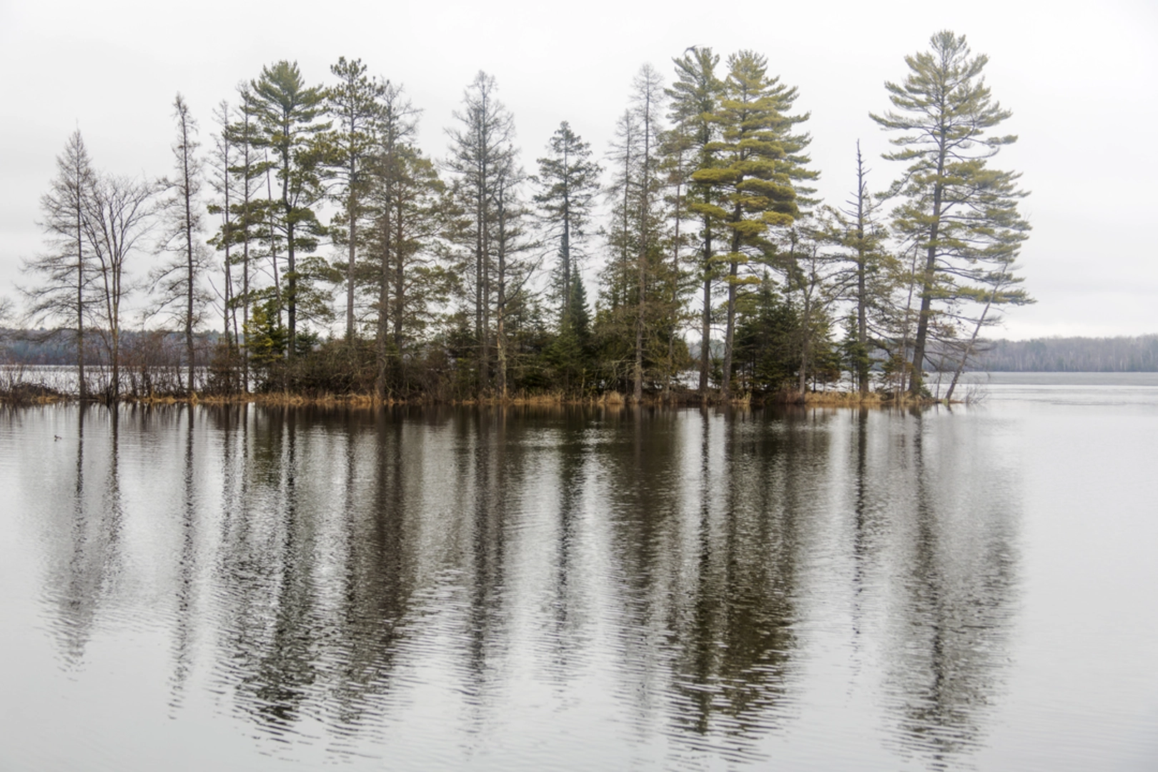 An image depicting the trail Round Lake Loop A Trail and its surrounding area.