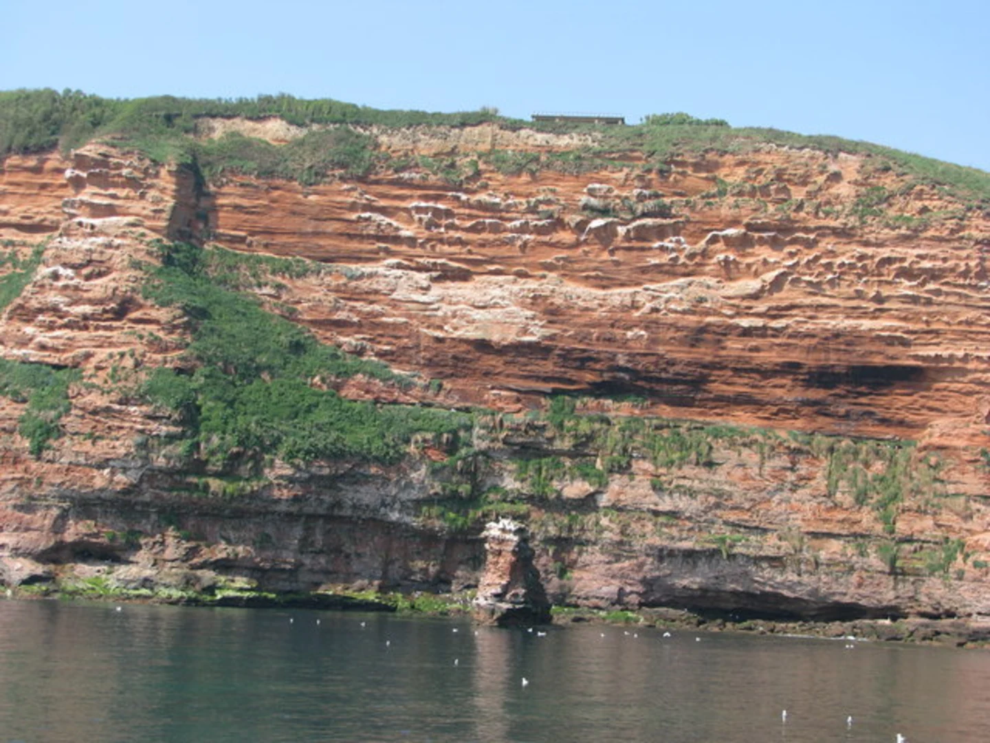 An image depicting the trail Exmouth to Seaton Coastal Walk and its surrounding area.