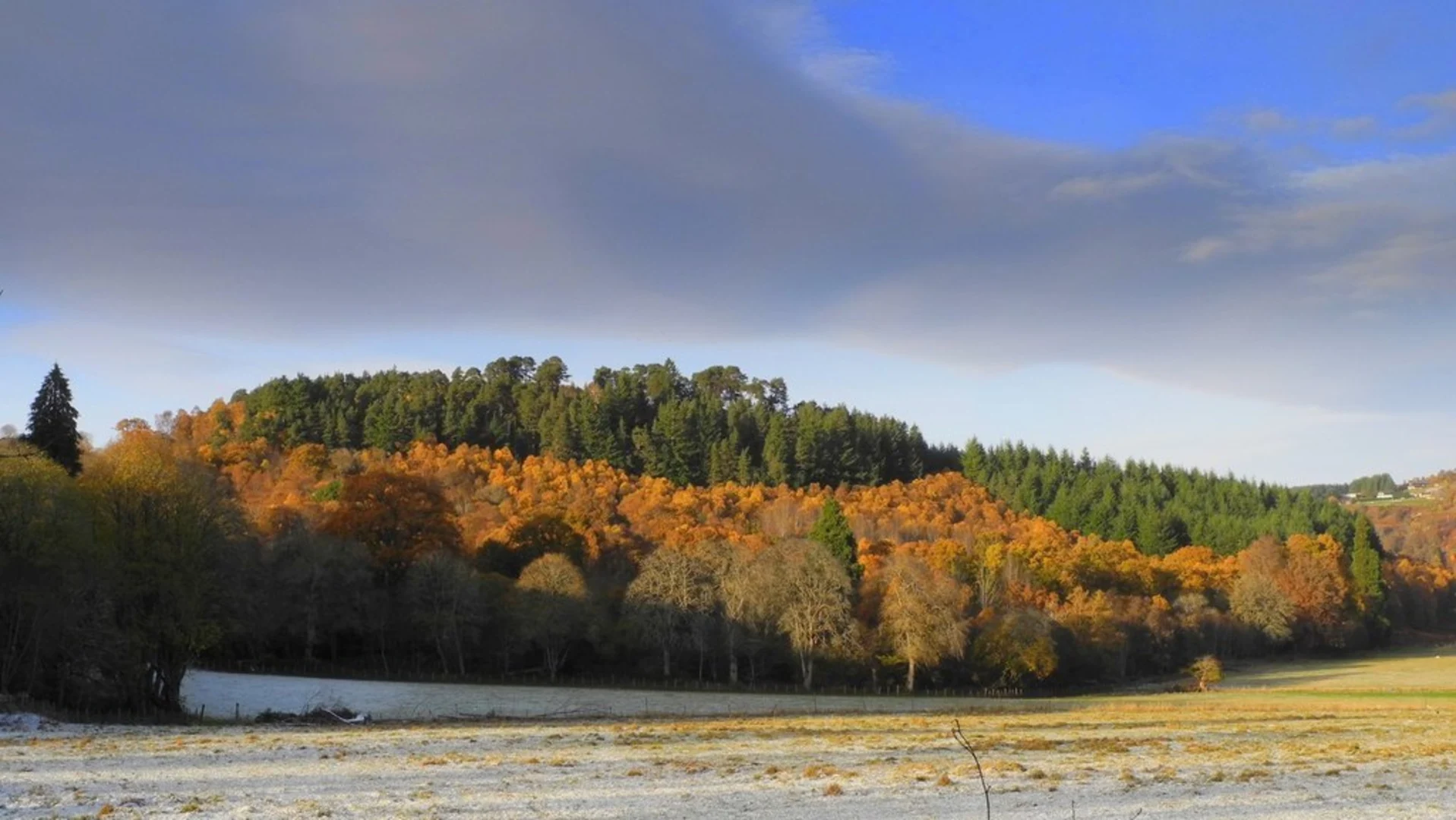 An image depicting the trail Milton Loop Trail and its surrounding area.