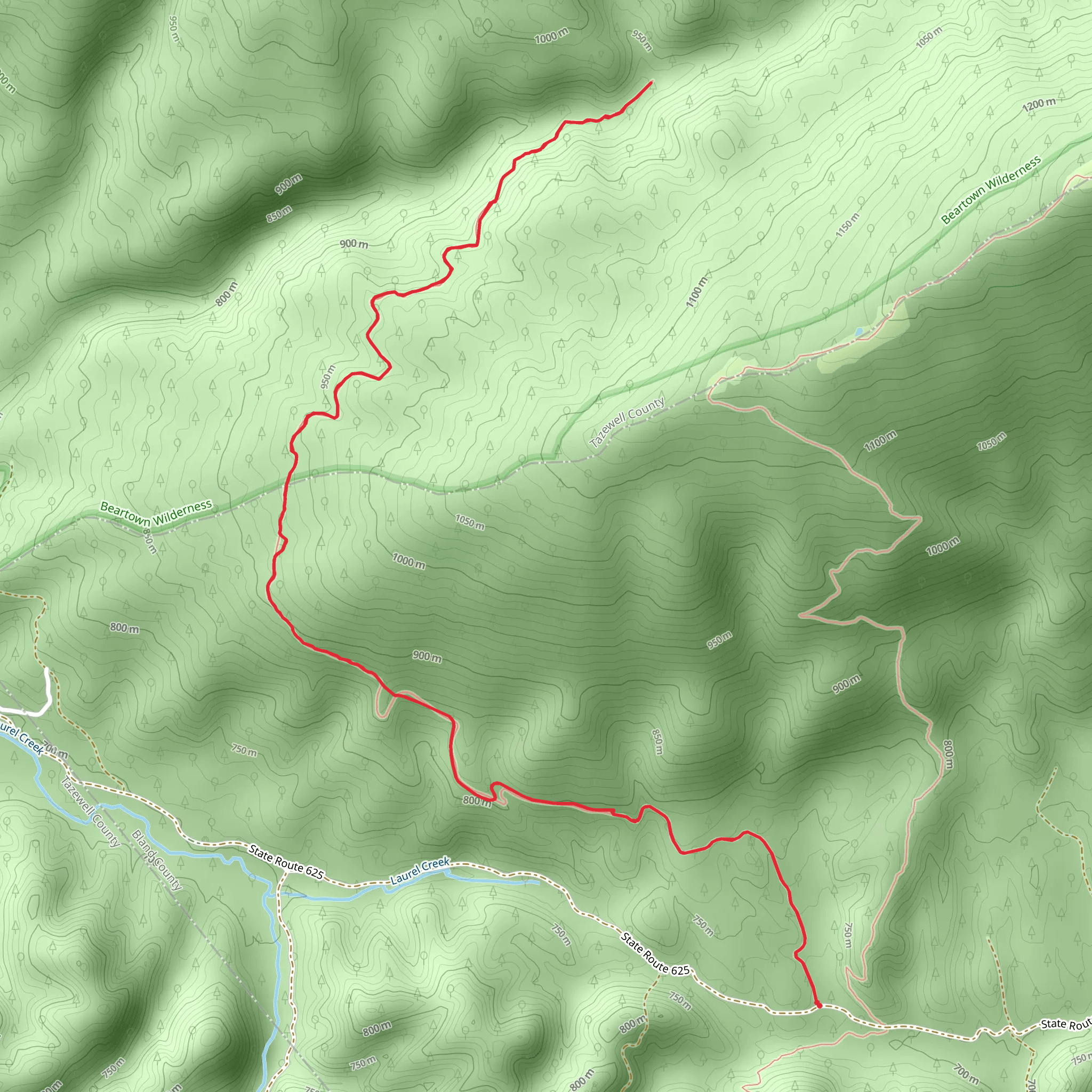 Roaring Fork Trail mobile static map