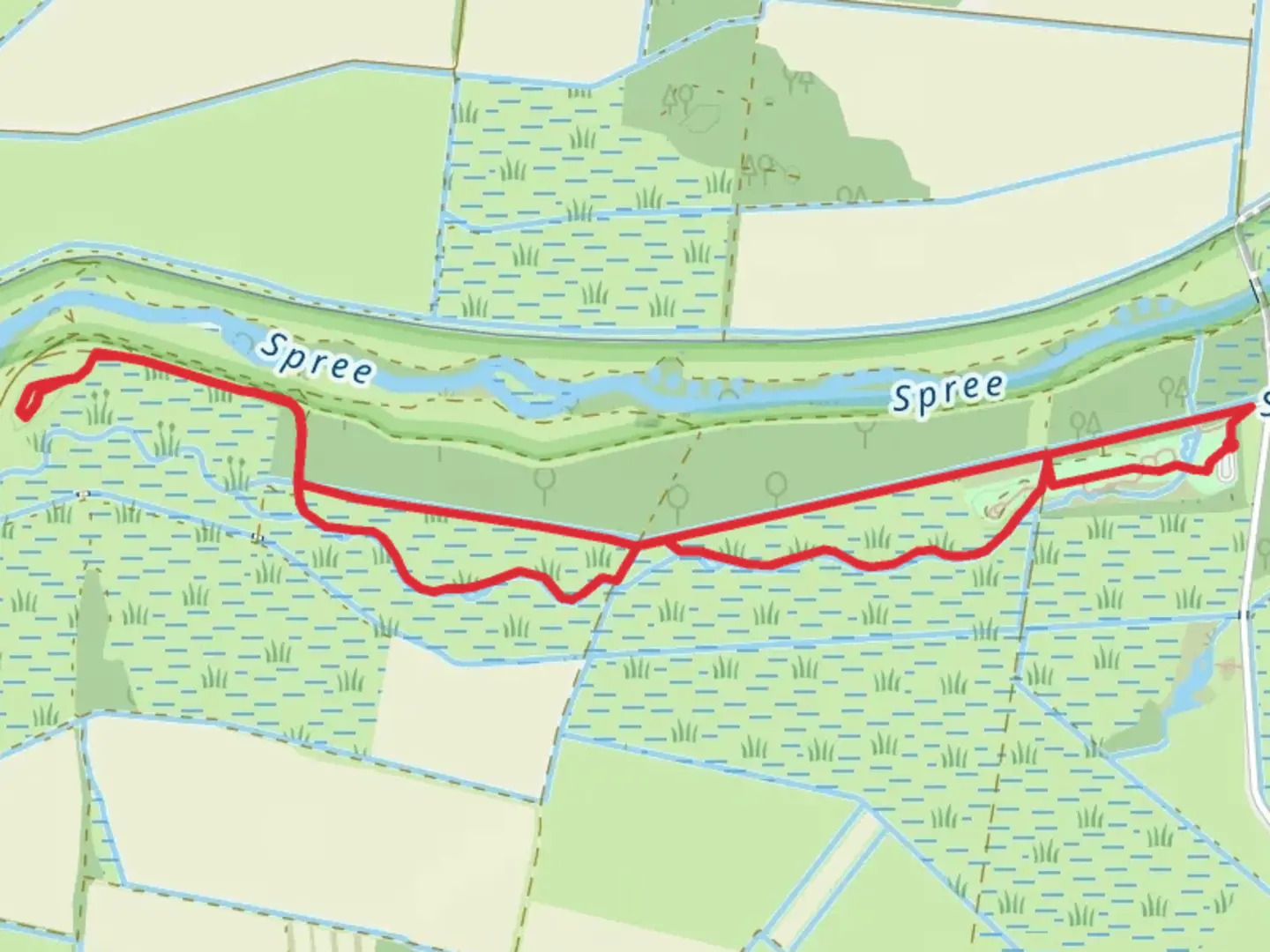 An image depicting the trail Renaturierte Spreeaue Auerochsenreservat Loop and its surrounding area.