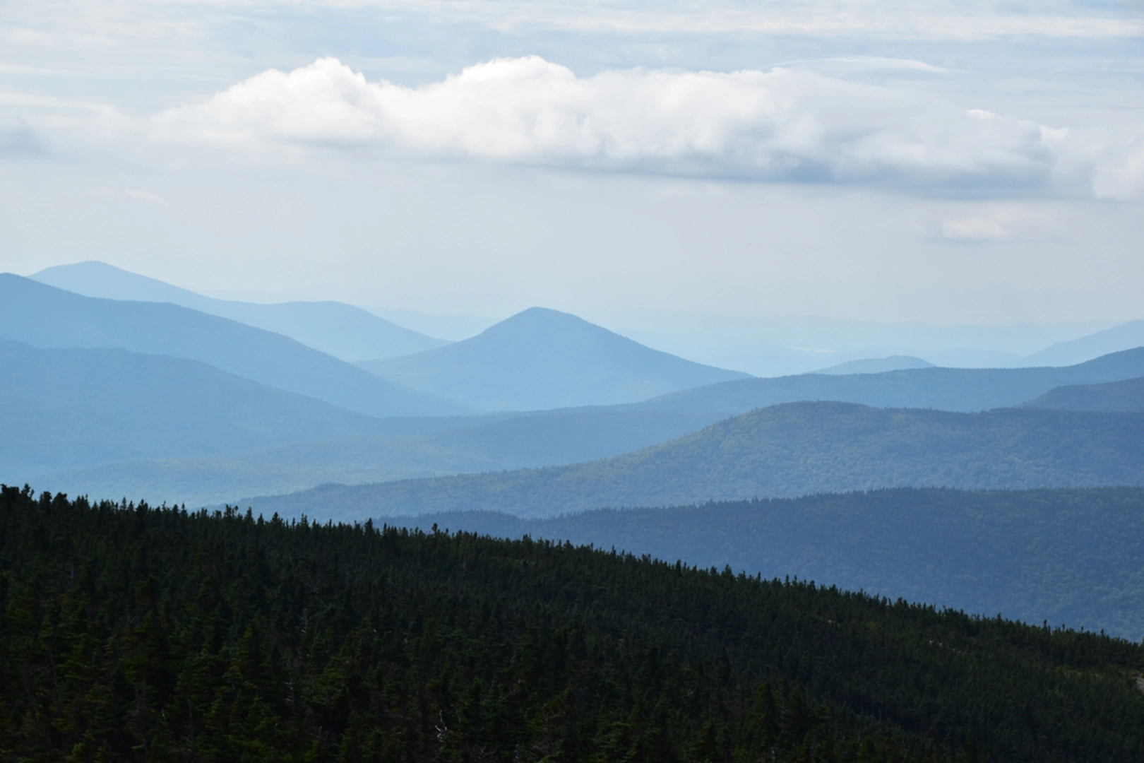 An image depicting the trail Shelburne Moriah Mountain via Shelburne and Kenduskeag Trail and its surrounding area.