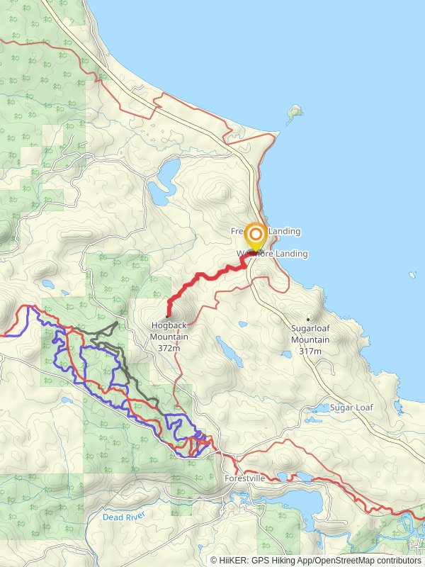Hogback Mountain via Hogback North