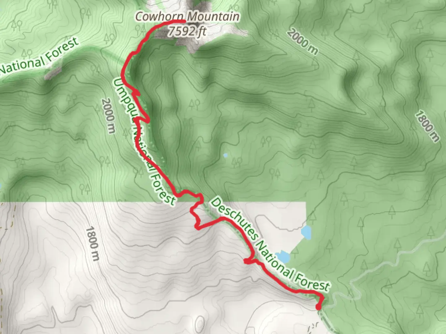 An image depicting the trail Cowhorn Mountain and its surrounding area.