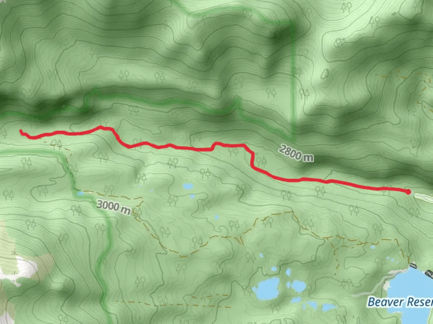 An image depicting the trail Walk along Middle St Vrain Creek and its surrounding area.