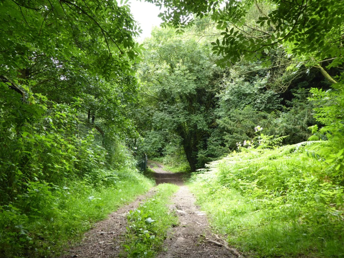An image depicting the trail Walled Gaarden and Springpool Wood Loop and its surrounding area.
