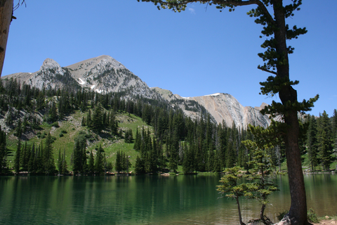 An image depicting the trail Shafthouse Hill Trail and its surrounding area.