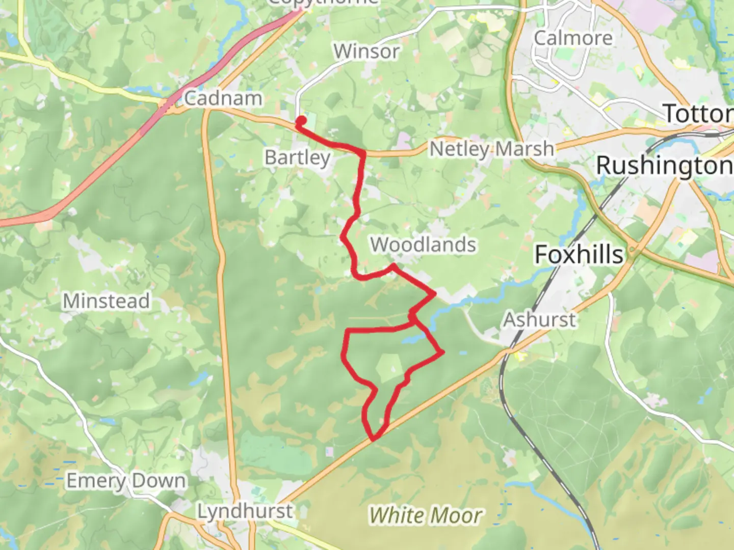 An image depicting the trail Busketts Lawn Inclosure and Ironshill Inclosure Loop from Bartley and its surrounding area.